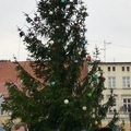 Darłowo w świątecznej szacie 