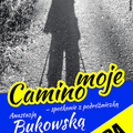 Moje Camino. Spotkanie z podróżniczką Anastazją Bukowską 