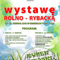 Weekend na rynku w Darłowie. I Wystawa Rolno – Rybacka 